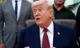 trump trump