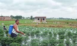 CII urges integrated policy on fuel, fertiliser, and food amid West Asia crisis