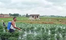 agriculture agriculture