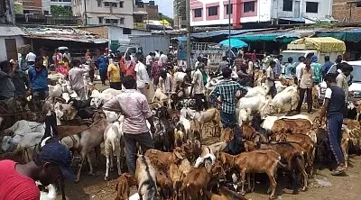 Decades-old goat market in Varanasi sealed ahead of Bakrid, sparks protest Decades-old goat market in Varanasi sealed ahead of Bakrid, sparks protest