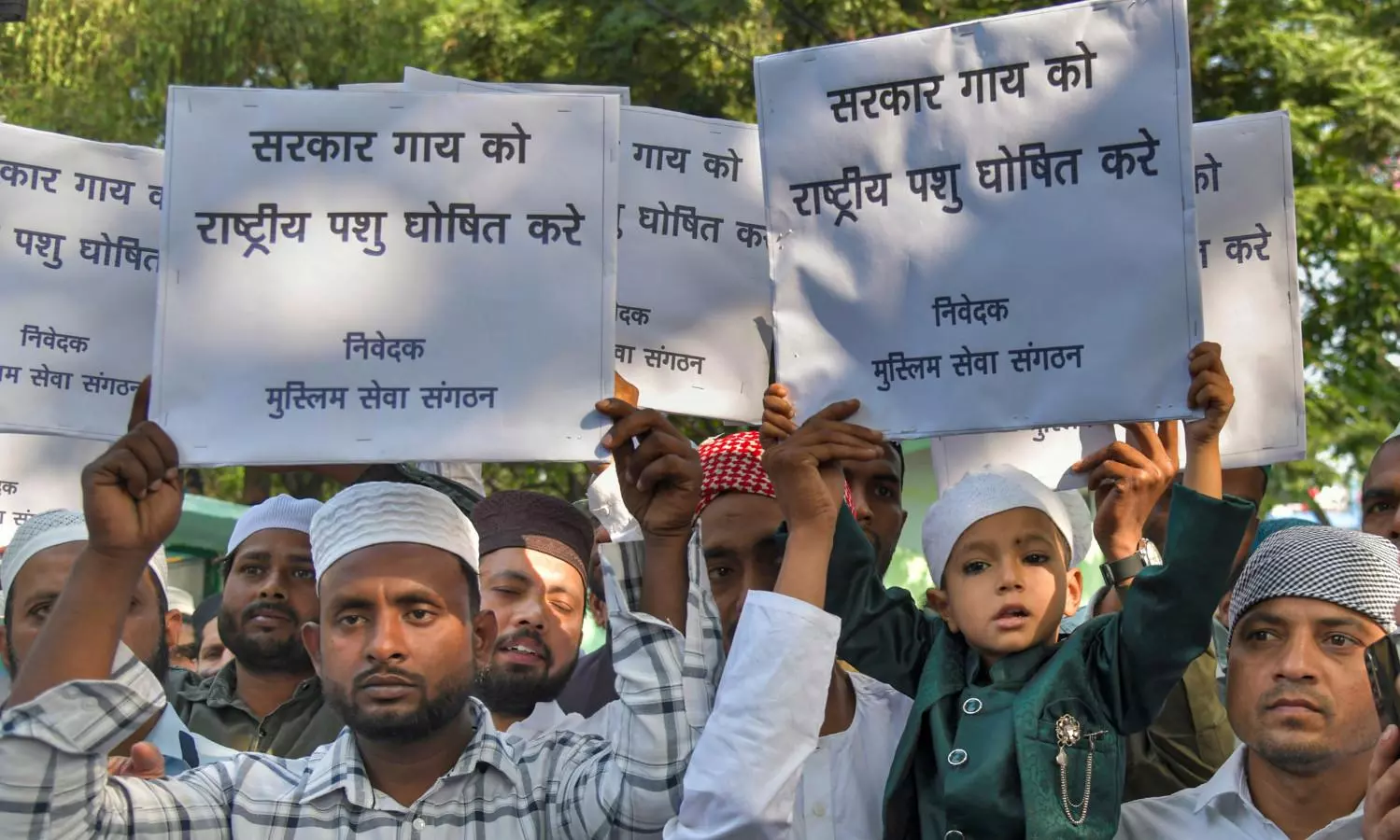 Muslim groups in India demand cow be declared national animal Muslim groups in India demand cow be declared national animal