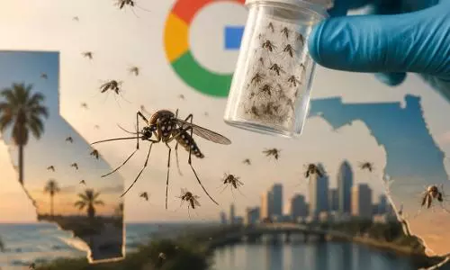 Google seeks permission to release 32 million mosquitoes in California and Florida Google seeks permission to release 32 million mosquitoes in California and Florida