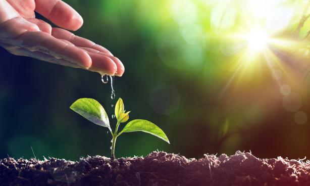 World Environment Day: Restoring nature, securing the coast