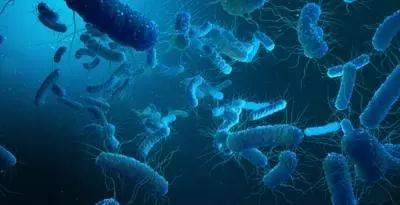 Two students test positive for Shigella in Keralas Kollam Two students test positive for Shigella in Keralas Kollam