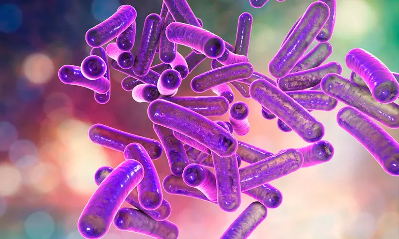 Shigella reaches Thrissur; two children under treatment Shigella reaches Thrissur; two children under treatment