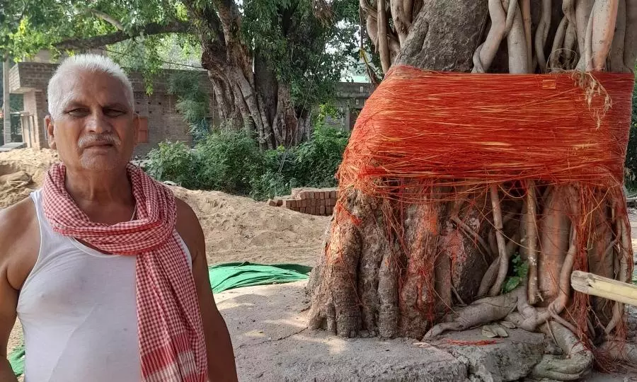 Elegy for a peepal tree where gods, ghosts and villagers gather Elegy for a peepal tree where gods, ghosts and villagers gather