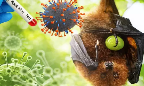 Kerala battles Nipah as virus transmission remains a mystery