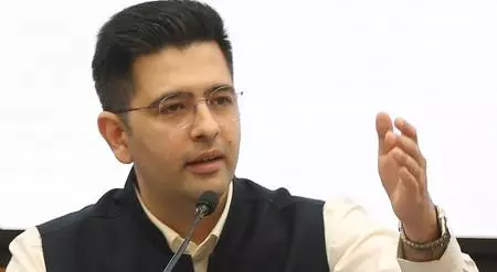 Delhi HC orders profane and vulgar posts against Raghav Chadha to be taken down Delhi HC orders profane and vulgar posts against Raghav Chadha to be taken down