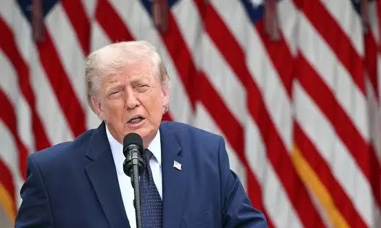 trump trump