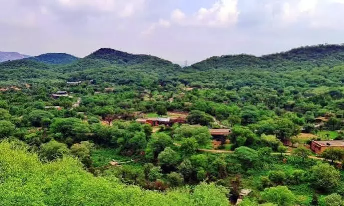 aravalli aravalli