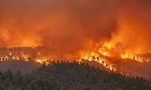spain france wildfire spain france wildfire