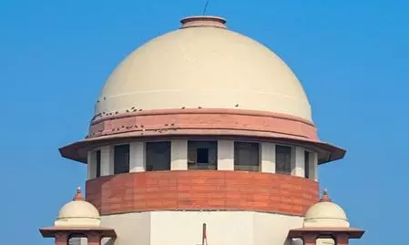 PIL in SC seeks national protocol, neutral probe to protect journalists at protests PIL in SC seeks national protocol, neutral probe to protect journalists at protests