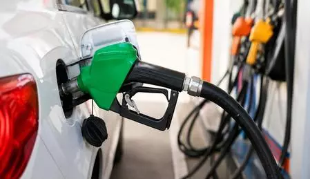 In some vehicles, E20 petrol can reduce fuel efficiency by 2% to 6%: Nitin Gadkari In some vehicles, E20 petrol can reduce fuel efficiency by 2% to 6%: Nitin Gadkari