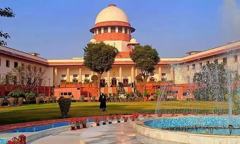 Supreme Court slams abandonment of cattle and calls for strict stray management Supreme Court slams abandonment of cattle and calls for strict stray management