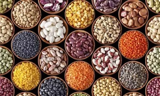 pulse, oilseed pulse, oilseed