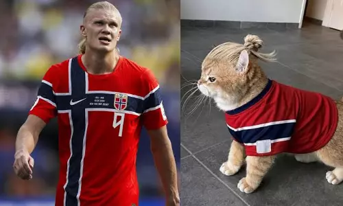 Haalands feline lookalike steals internet; football star joins fun Haalands feline lookalike steals internet; football star joins fun