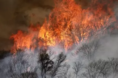 Helicopter crash kills two during Utah wildfire operations Helicopter crash kills two during Utah wildfire operations