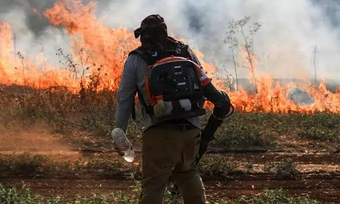 Israel accused of ‘ecocide’ as Israel burns Lebanon’s agricultural and forest land Israel accused of ‘ecocide’ as Israel burns Lebanon’s agricultural and forest land