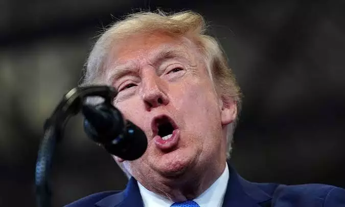 trump trump