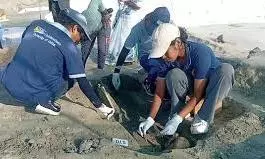 582 skeletons, including those of children, found at mass grave in Sri Lanka 582 skeletons, including those of children, found at mass grave in Sri Lanka