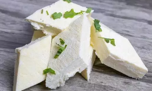 fake paneer fake paneer