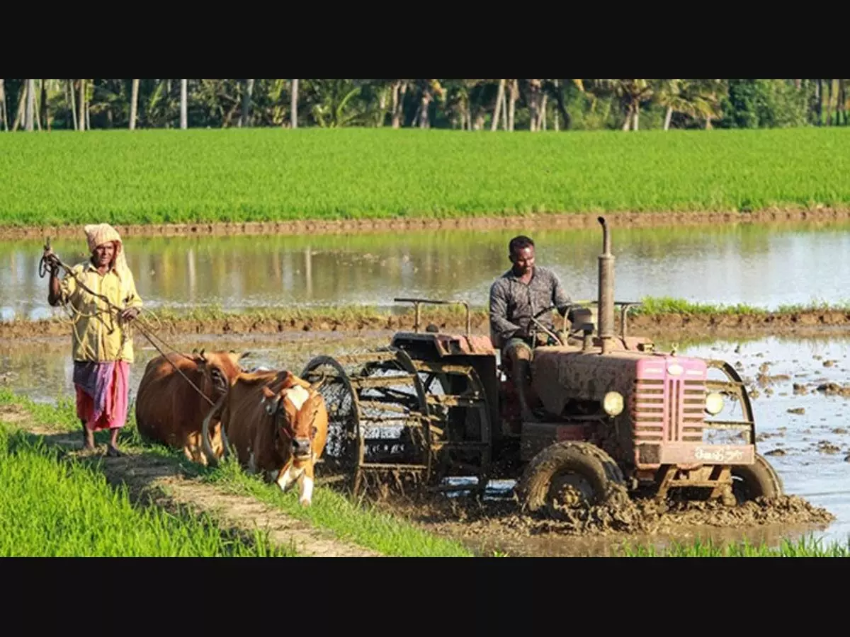 18.19 lakh farmers join India’s push towards regenerative agriculture 18.19 lakh farmers join India’s push towards regenerative agriculture