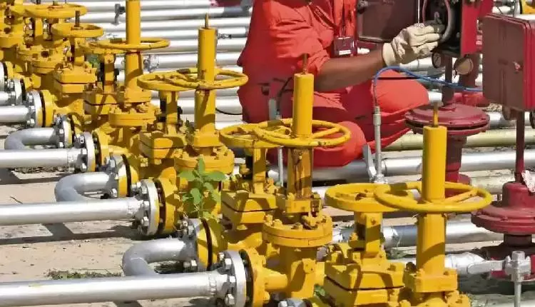 Centre seeks state support to speed up shift from LPG to PNG in households Centre seeks state support to speed up shift from LPG to PNG in households