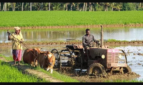 18.19 lakh farmers join India’s push towards regenerative agriculture 18.19 lakh farmers join India’s push towards regenerative agriculture