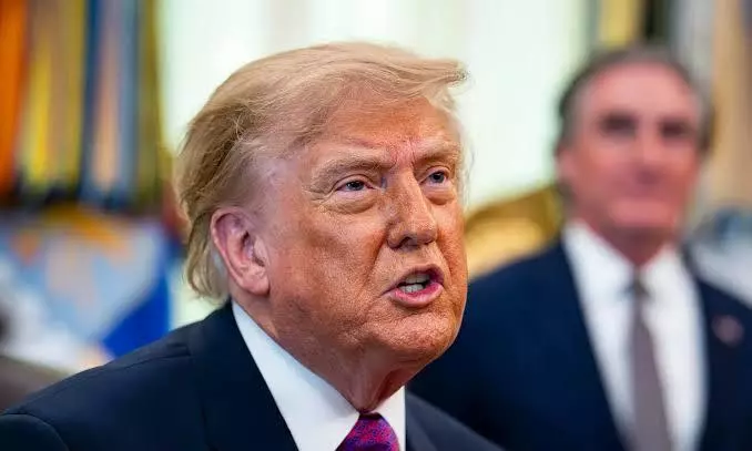 trump trump