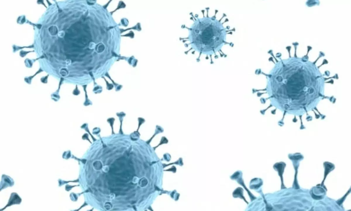 H1N1 claims over 100 lives in Keralam, deaths double from last year H1N1 claims over 100 lives in Keralam, deaths double from last year