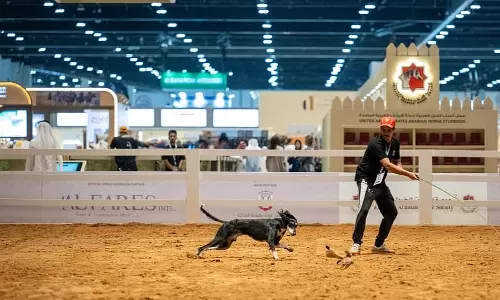 Inside ADIHEX 2026: From Arabian horses to cyber safety