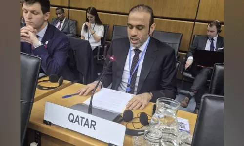 West Asian conflicts must not overshadow Palestine issue: Qatar