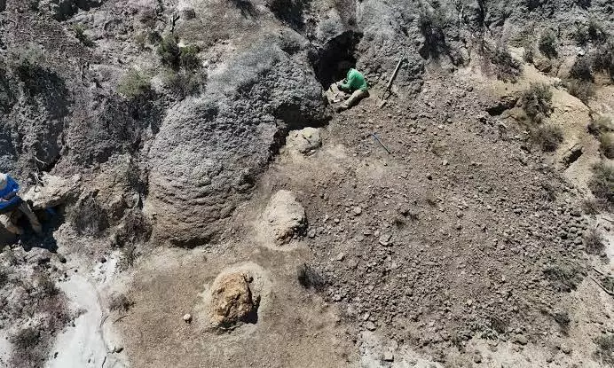 First known adult T. rex trackway discovered in North Dakota First known adult T. rex trackway discovered in North Dakota