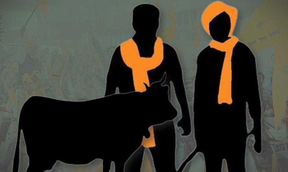 From cow vigilantism to mob justice: a decade of lynching in India