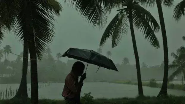 Kerala records 28% monsoon rain deficit, Wayanad worst hit Kerala records 28% monsoon rain deficit, Wayanad worst hit