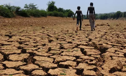 Maharashtra declares drought in 74% of state amid monsoon deficit Maharashtra declares drought in 74% of state amid monsoon deficit