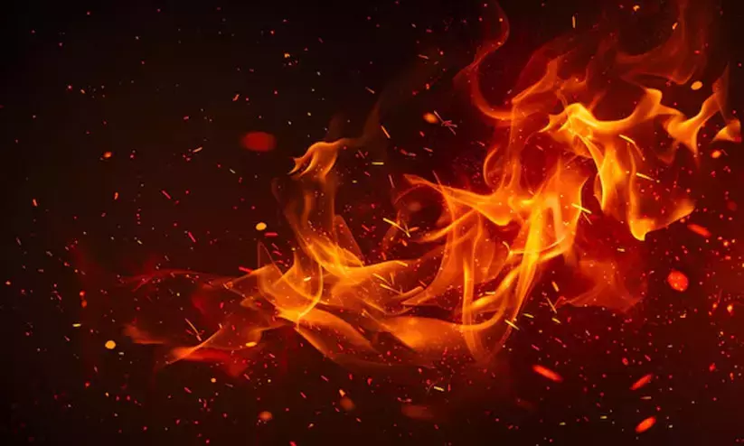 Pregnant woman beaten, burned to death in Maharashtra
