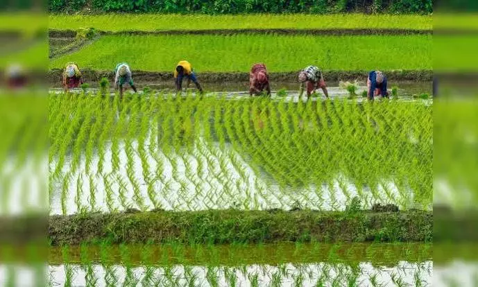 food production food production