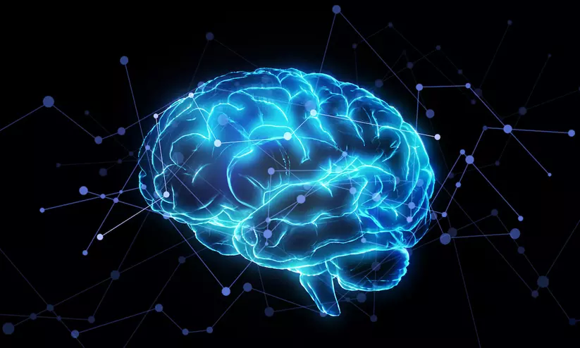 Human brain is 2 organs, not 1, Stanford study reveals Human brain is 2 organs, not 1, Stanford study reveals