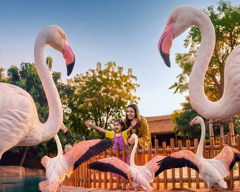 Dubai Safari Park reopens on October 12 with ‘Wildest Opening Week’ Dubai Safari Park reopens on October 12 with ‘Wildest Opening Week’