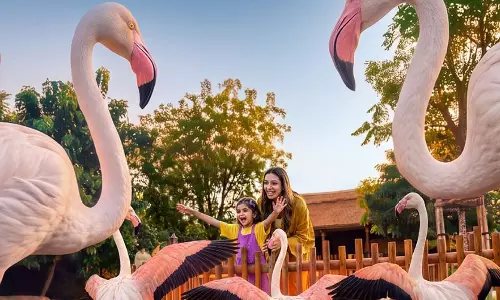 Dubai Safari Park reopens on October 12 with ‘Wildest Opening Week’ Dubai Safari Park reopens on October 12 with ‘Wildest Opening Week’