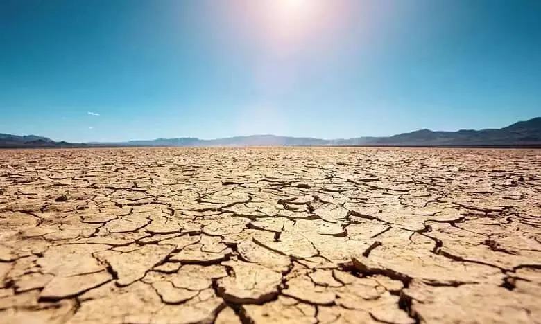 Telangana drought assessment finds 320 mandals affected; state to seek Centre’s aid Telangana drought assessment finds 320 mandals affected; state to seek Centre’s aid