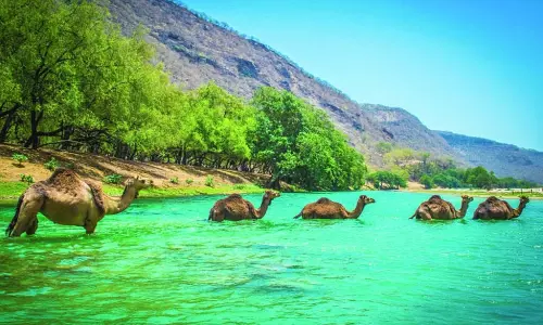 Oman Vision 2040 sets course for sustainable use of natural resources Oman Vision 2040 sets course for sustainable use of natural resources