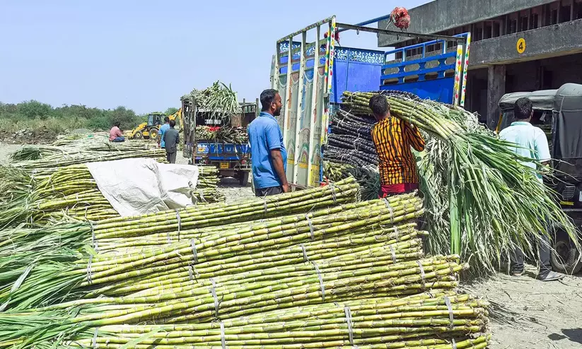 Karnataka opposes Centre’s stoppage of sugarcane-based ethanol Karnataka opposes Centre’s stoppage of sugarcane-based ethanol