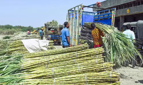 Karnataka opposes Centre’s stoppage of sugarcane-based ethanol Karnataka opposes Centre’s stoppage of sugarcane-based ethanol