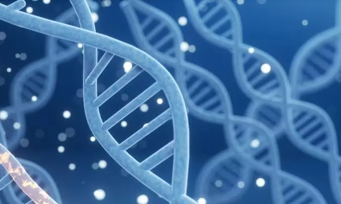 dna dna