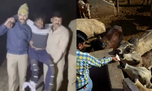‘Uttar Pradesh Police shot 650 alleging cow smuggling; 93% Muslims’ ‘Uttar Pradesh Police shot 650 alleging cow smuggling; 93% Muslims’