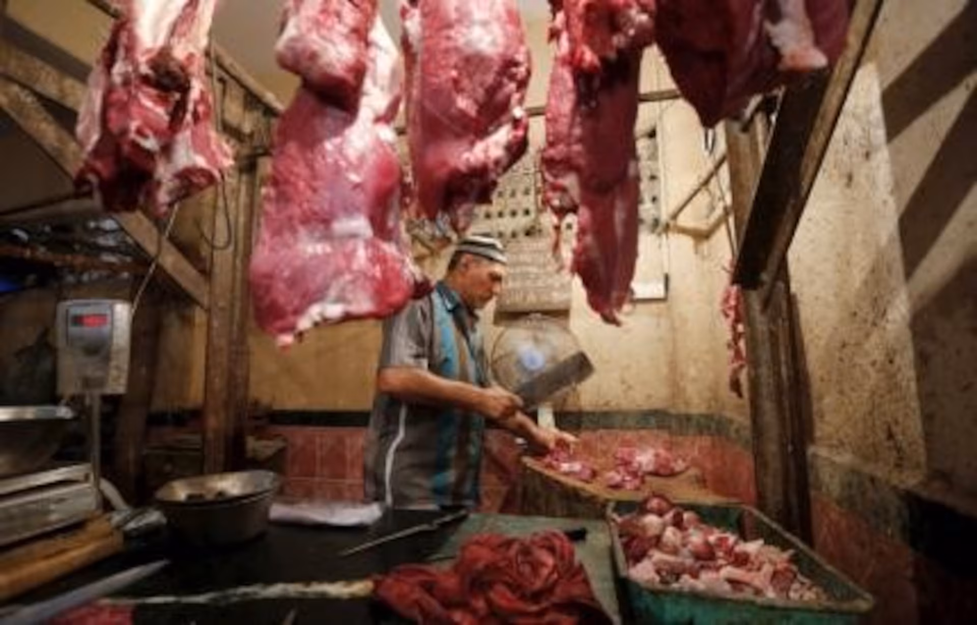 Gujarat HC reimposes meat ban near Somnath temple
